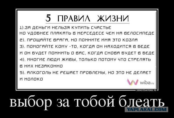 20 правдиво-саркастических открыток, в которых можно узнать себя