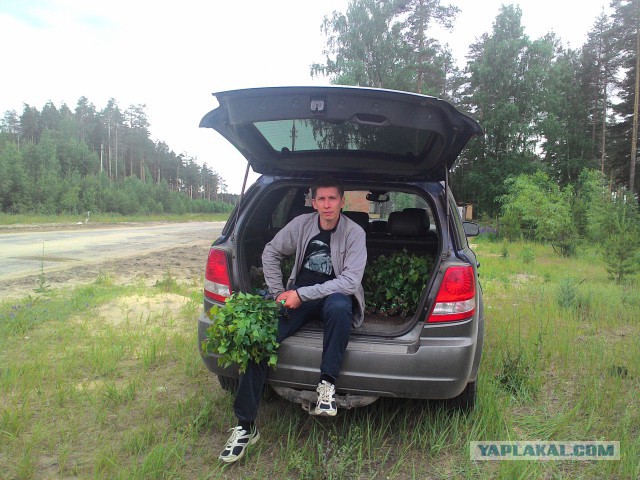 Перекличка любителей 4х4