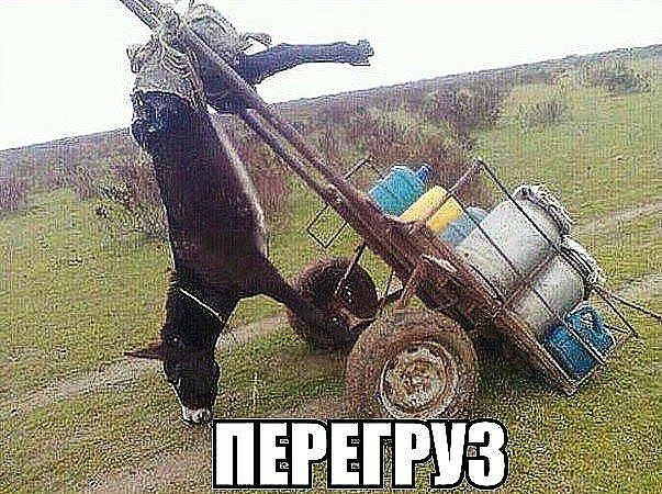 Подборка интересных и веселых картинок