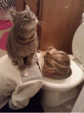 Животные, которые всегда сохраняют безразличие. А точнее - пофигизм