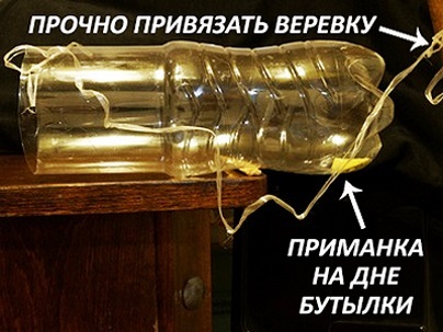 Как я понял, что удачно женился...