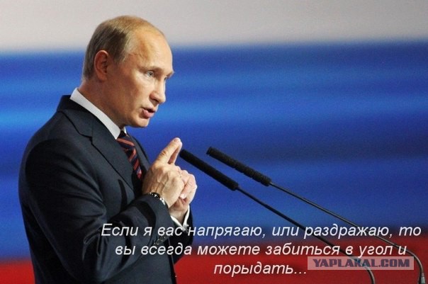 Более 80% россиян одобряют работу Путина
