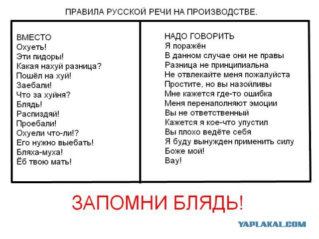 Васильева пообещала устроить "чистку" русского языка