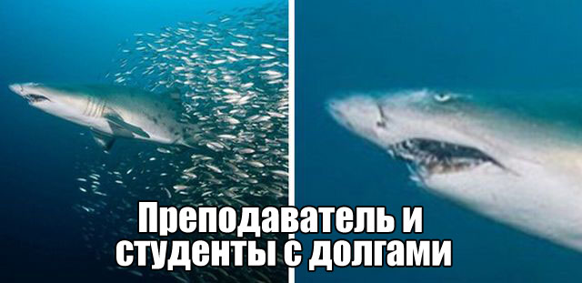 Подборка интересных и веселых картинок