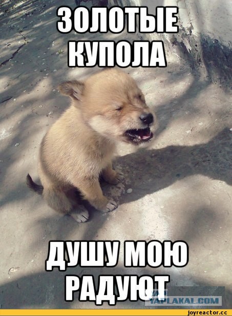 Если нынешний у бывшей мент