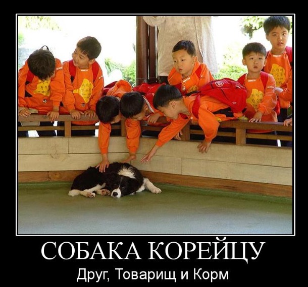 Новогодний завтрак гурмана