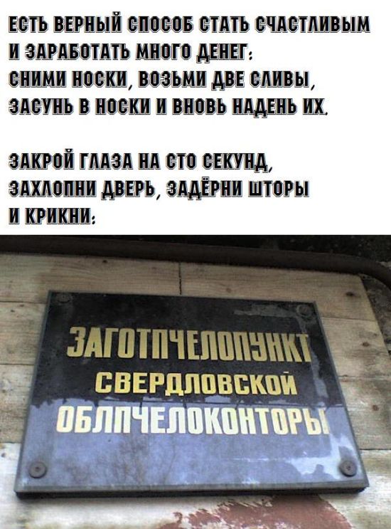Смешные объявления, надписи и вывески
