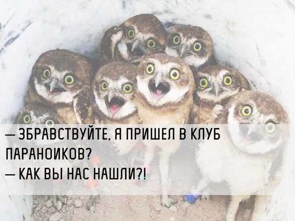Вы еще верите в секретность Telegram?