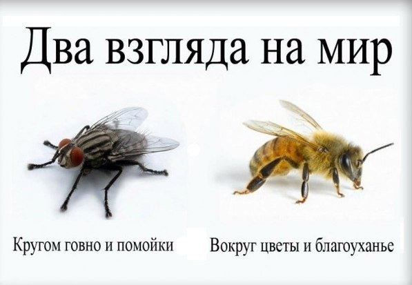 Западные СМИ разоблачили большой русский обман на ЧМ