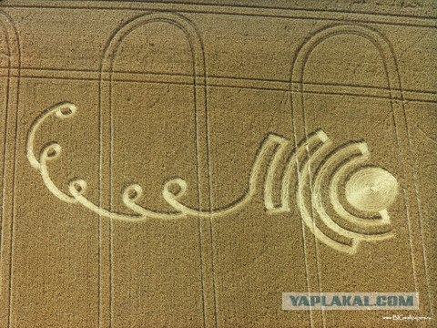 Круги на полях - Тайна века раскрыта!