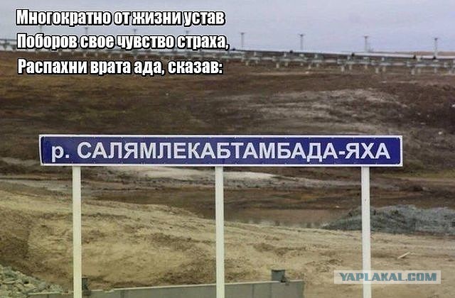 Чудики из социальных сетей