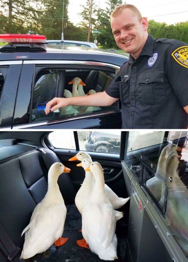 Фото, на которых все могло бы быть нормально, если бы не одно но...