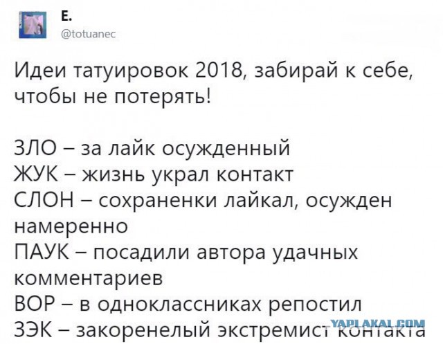 Киберстукачи. Кибердружина копирует мемы с ваших страниц в соцсетях и пишет заявления в полицию - взгляд изнутри