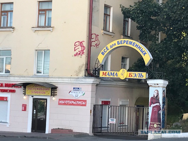 В Калининграде разрисовывающие стены вандалы попали на камеры наблюдения