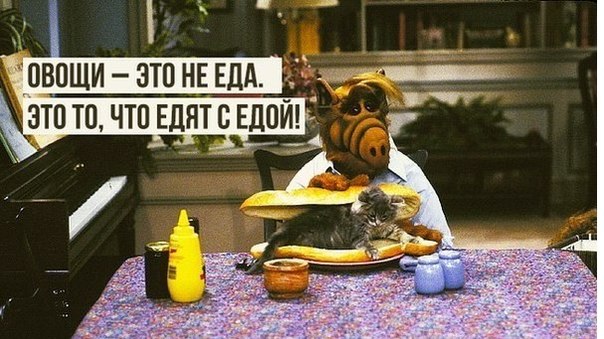 Сёрстреминг и red21 +18