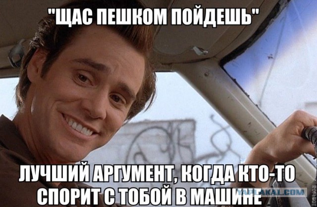 Подборка интересных и веселых картинок 08.02.19