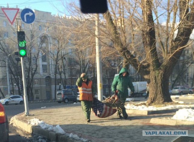 Закопают ли гастарбайтеры русских в демографическую яму