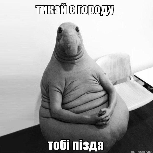 Хожу в бар рядом с домом