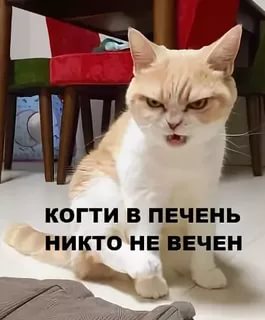 Как выскочу, как выпрыгну - пойдут клочки по закоулочкам!