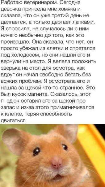 Всем хорошего настроения с картинками