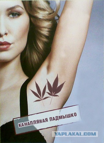 Фотожаба: О чем молчат антиперспиранты