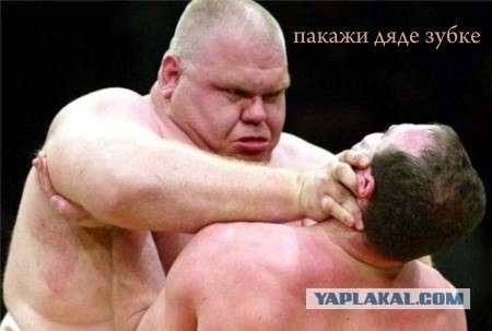 Фотожаба: Разборка