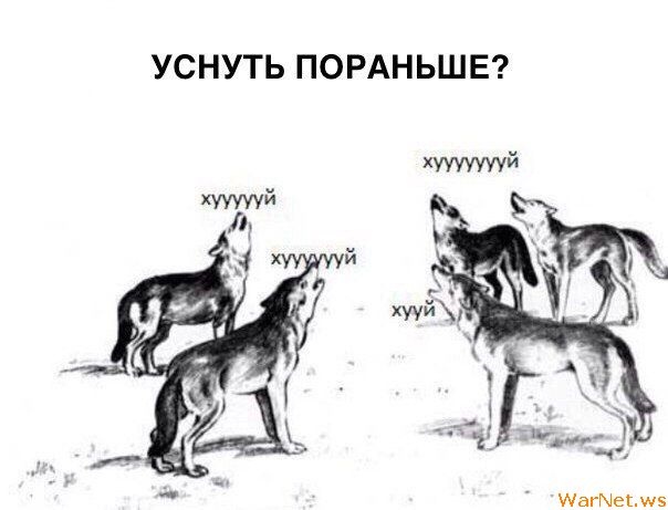 Немного картинок для настроения 24.07.20