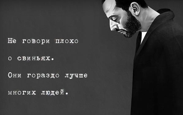 Кондей для свиней! Маня довольна.