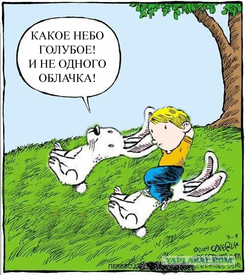 Смотрим на облака вместе