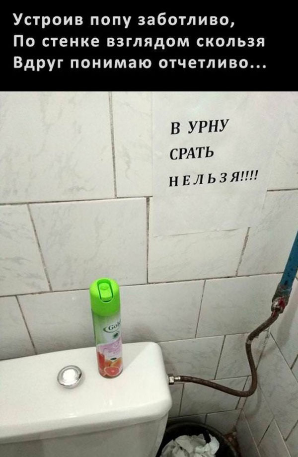 Фотки и картинки: юморные и красивые, забавные и милые 09.11.20