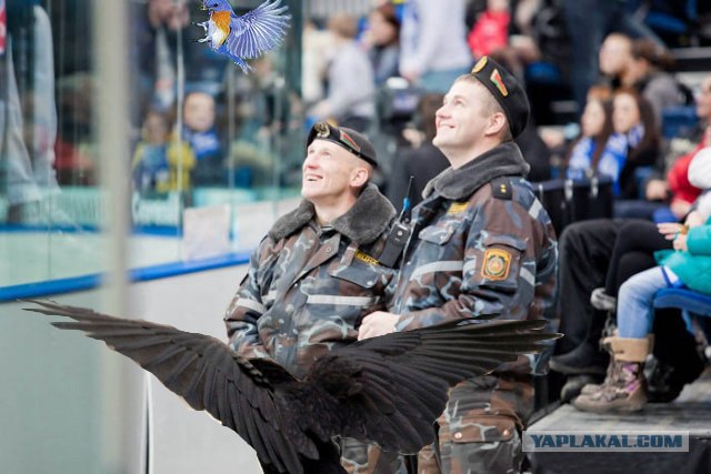 Фотожаба: Что увидели омоновцы?