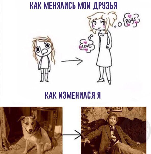 Картинки и мемы для настроения 009