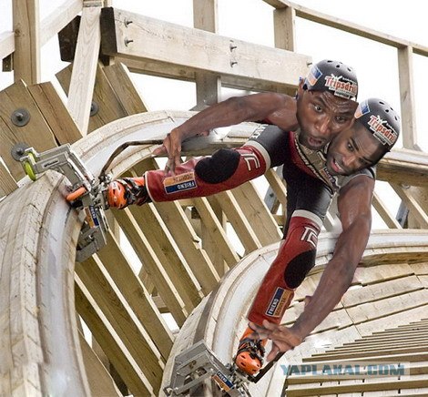 Ну очень жабельная фотография!