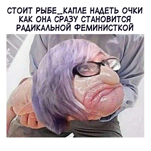 Баянисто-небаянистый юмор 15.02.21