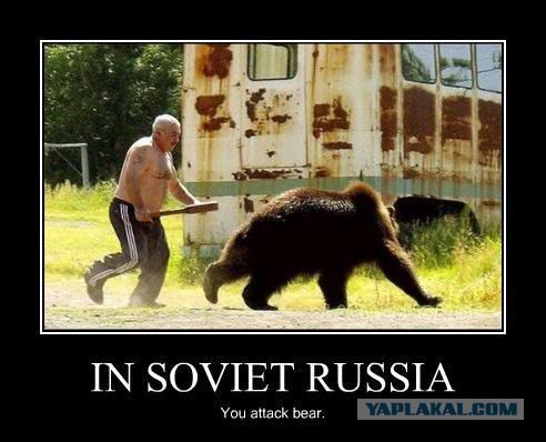 Голодный мишка и консерва, (BBC cameraman)