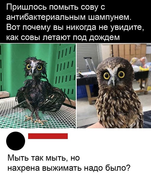 Баянисто-небаянистый юмор 24.04.21