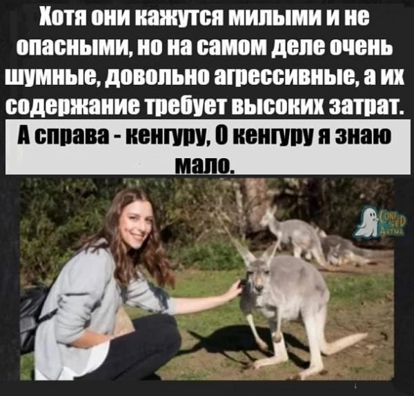 Картинки с надписями и всякие жизненные фразы 25.04.21