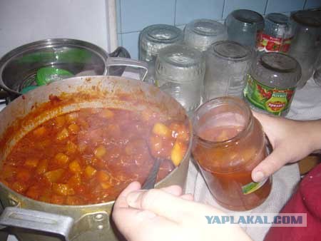 Вся правда о КАБАЧКАХ и ЦУККИНИ