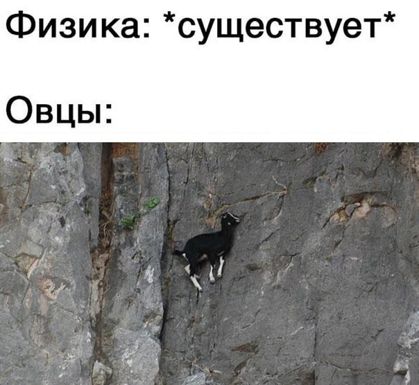 Весёлый полтишок 02.10
