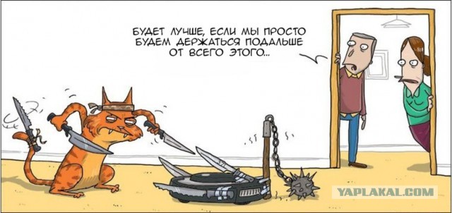 Весёлый полтишок 05.11