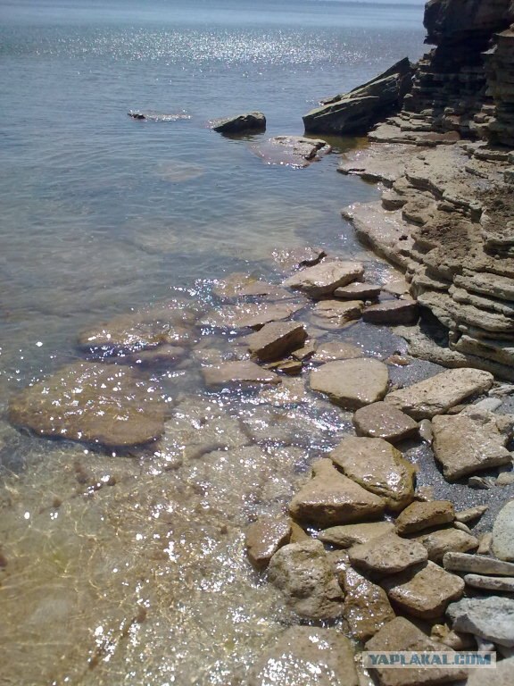 Черное море