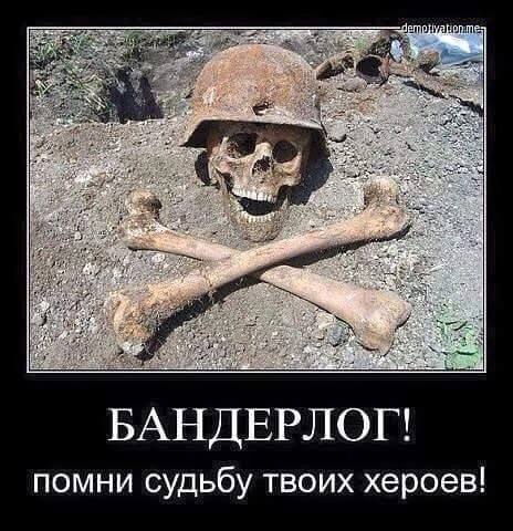 Бастрыкин поручил возбудить дело против украинских телеведущей и врача за призывы к насилию
