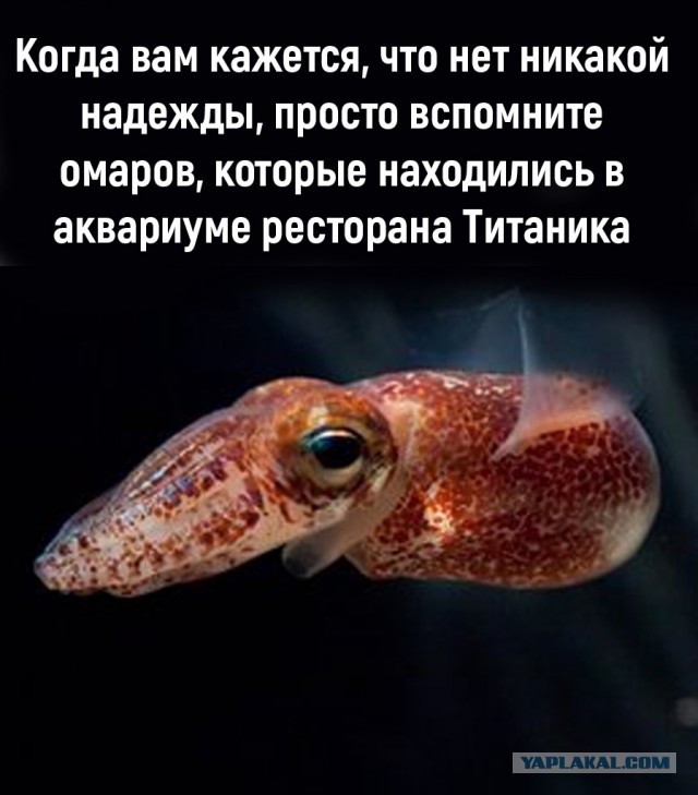 Так себе картинки 29.03.22