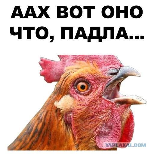 Говорящий подарок