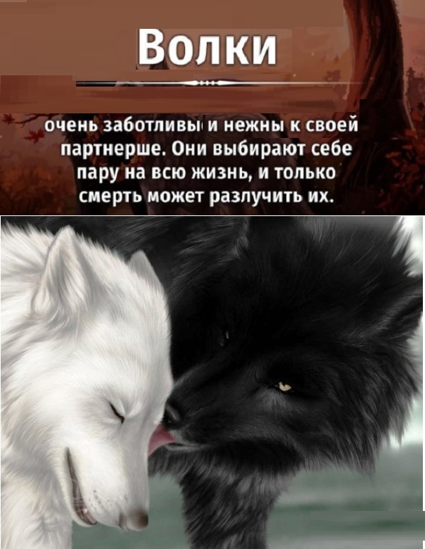 Картинки с надписями и всякие жизненные фразы