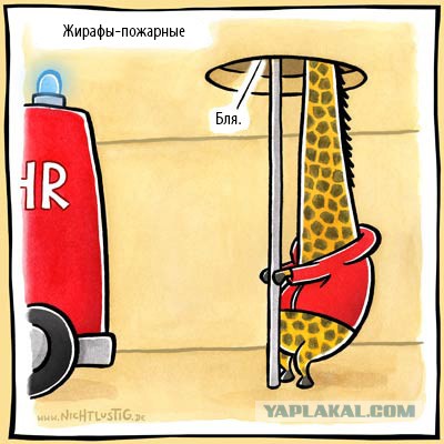 50 оттенков серого Vol.5 . Или самосвал баянов