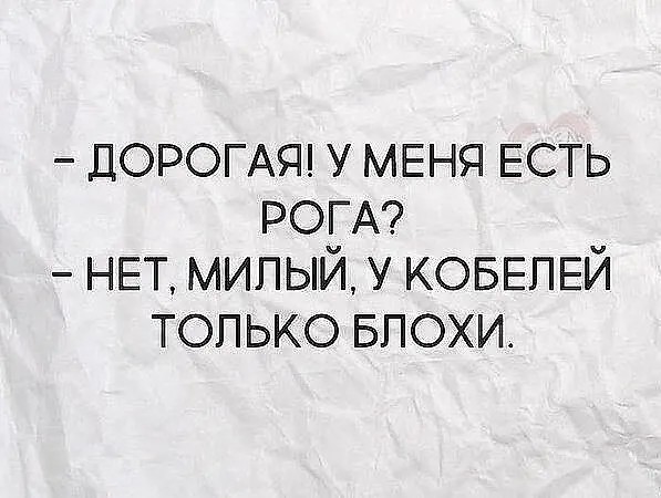 Так себе картинки 02.06.22