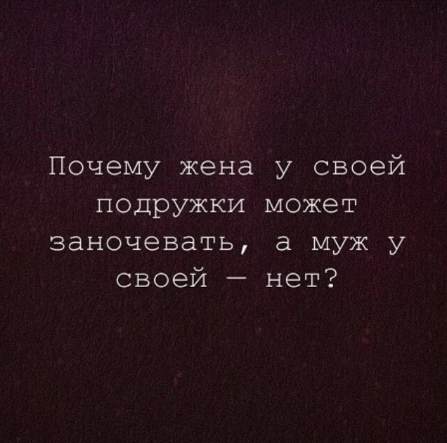 Весёлый полтишок 08.08.22