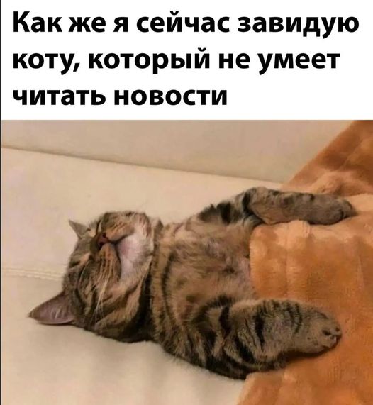 Немного картинок для настроения - 129
