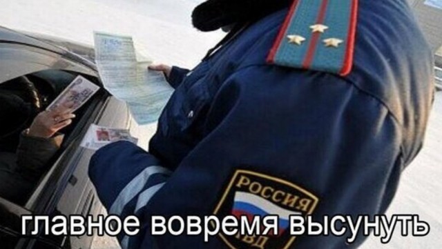 Так себе картинки 02.11.22